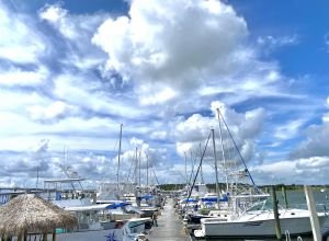 morehead city yacht basin slips for sale